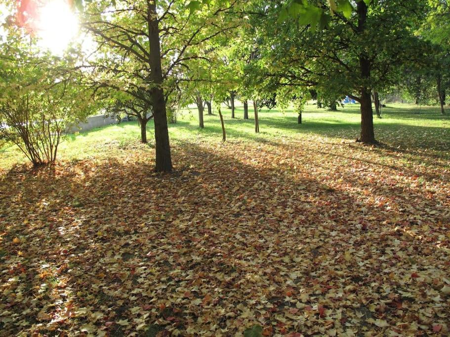 帕吕德诺沃Le Jardin D'Erables St Remy 7 Ha Piscine/Clim别墅 外观 照片