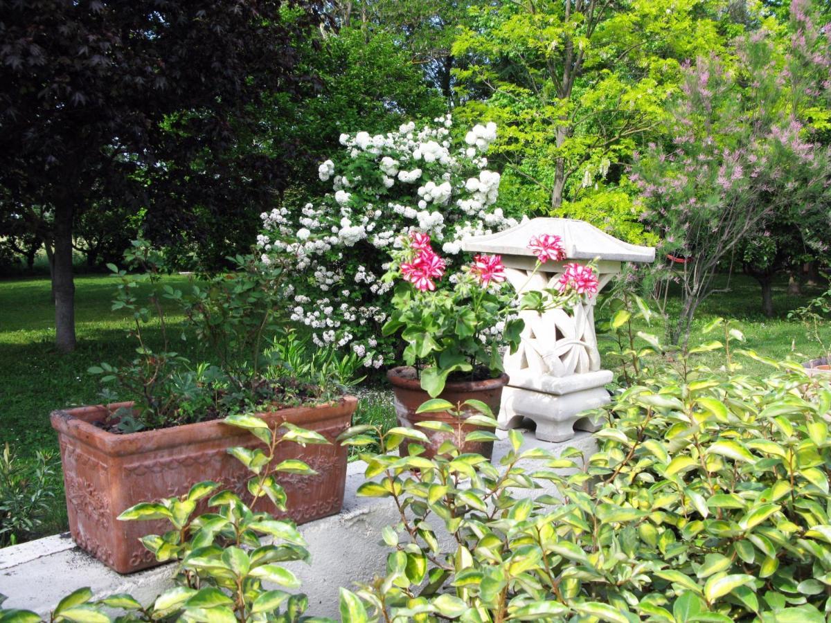 帕吕德诺沃Le Jardin D'Erables St Remy 7 Ha Piscine/Clim别墅 外观 照片
